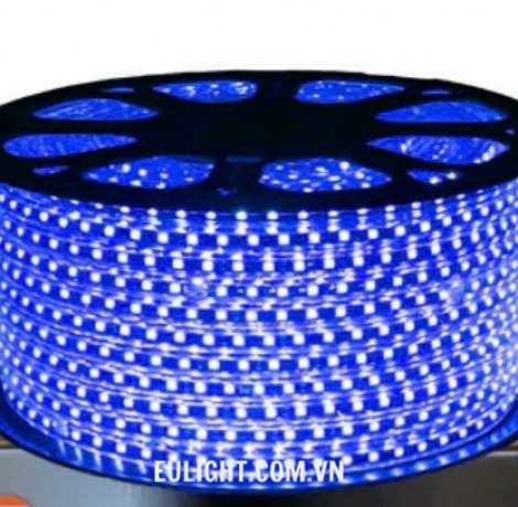 Dây led cao cấp ánh sáng vàng DLCC2835