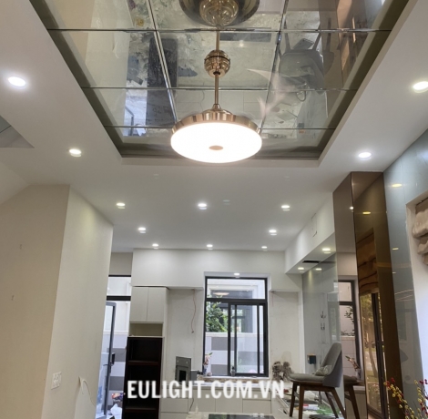 Quạt trần đèn cao cấp Mountain Air QTCX 6061