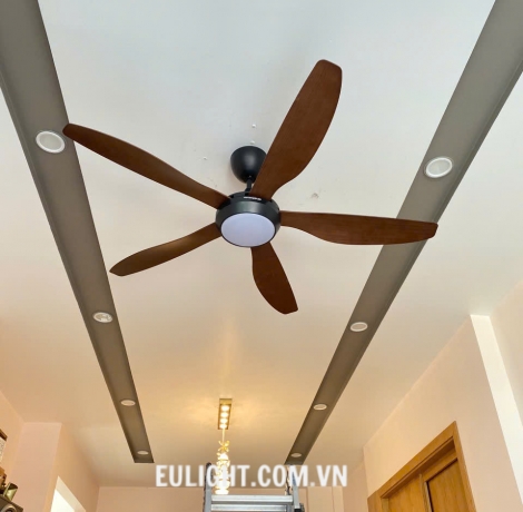Quạt trần Mountain Air QT836