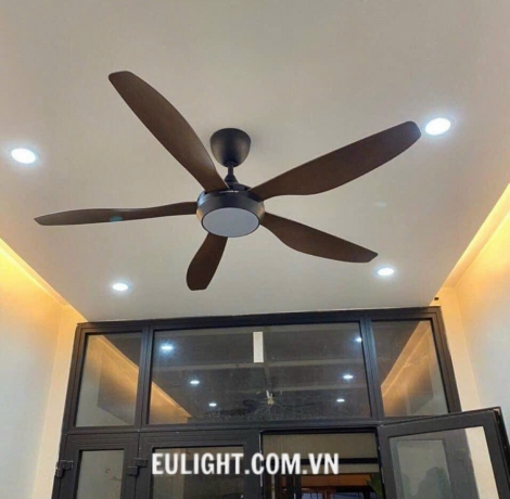 Quạt trần Mountain Air QT836