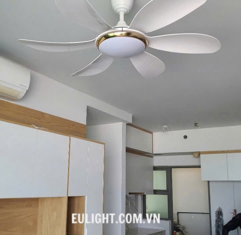 Quạt trần  chính hãng màu trắng hoặc nâu gỗ QT662